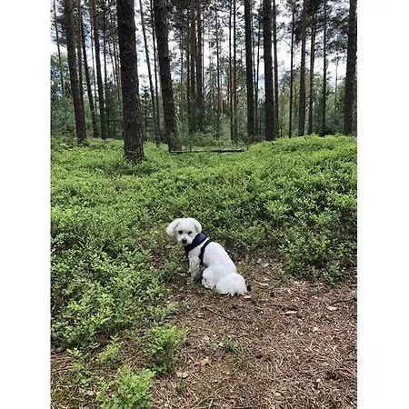 Apartamento Lovely In Putbus Hambühren