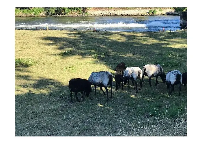 Lovely In Putbus * Hambuhren